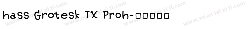 hass Grotesk TX Proh字体转换